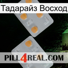 Тадарайз Восход 25